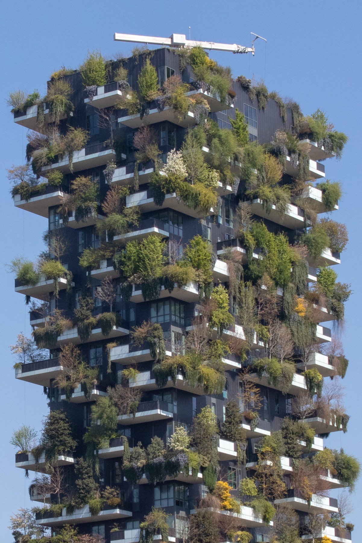 Zij Wonen Op Grote Hoogte Met Een Bos Op Het Balkon BinnensteBuiten Zij Wonen Op Grote Hoogte Met Een Bos Op Het Balkon BinnensteBuiten